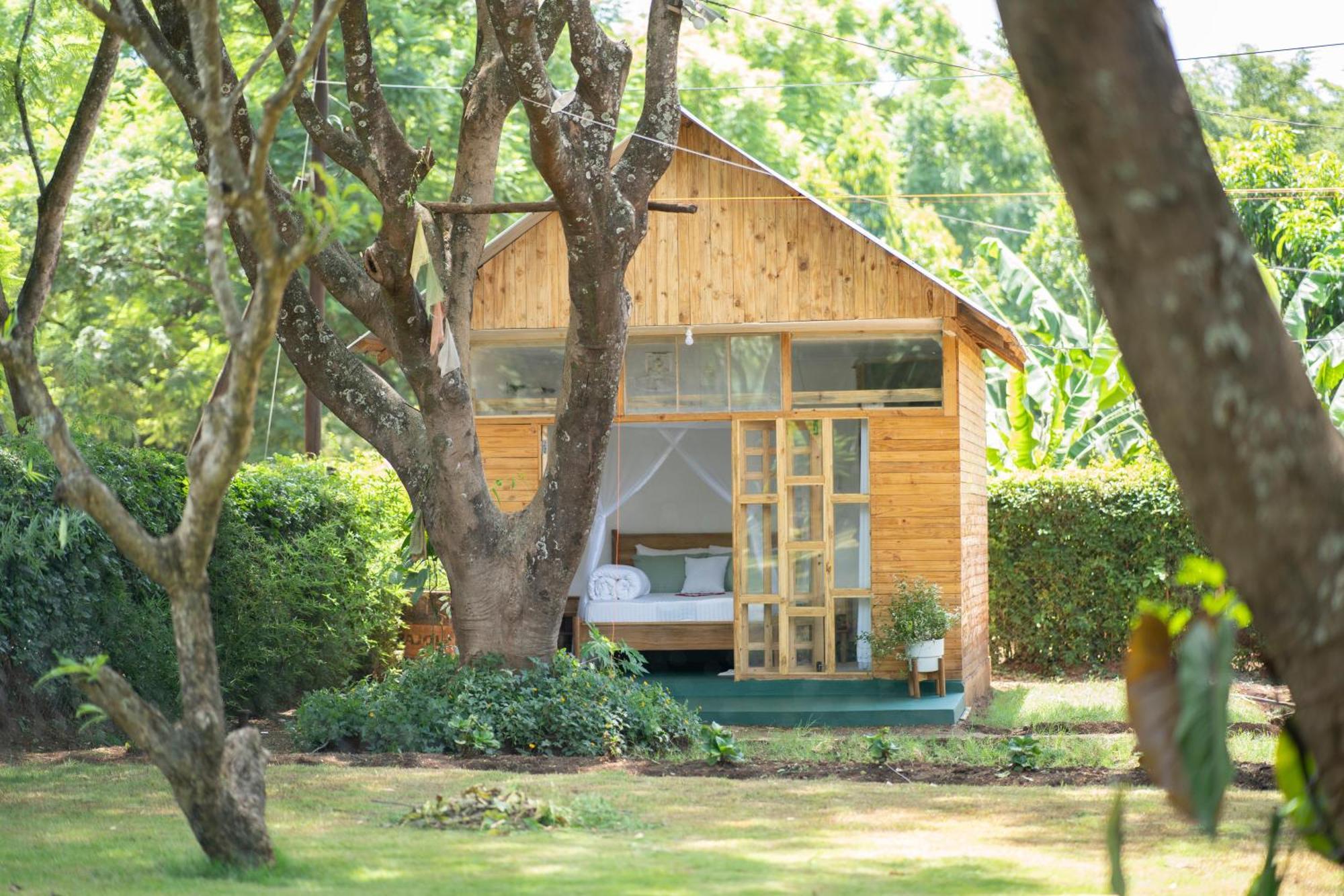 Mkoani Homestay Moshi Extérieur photo
